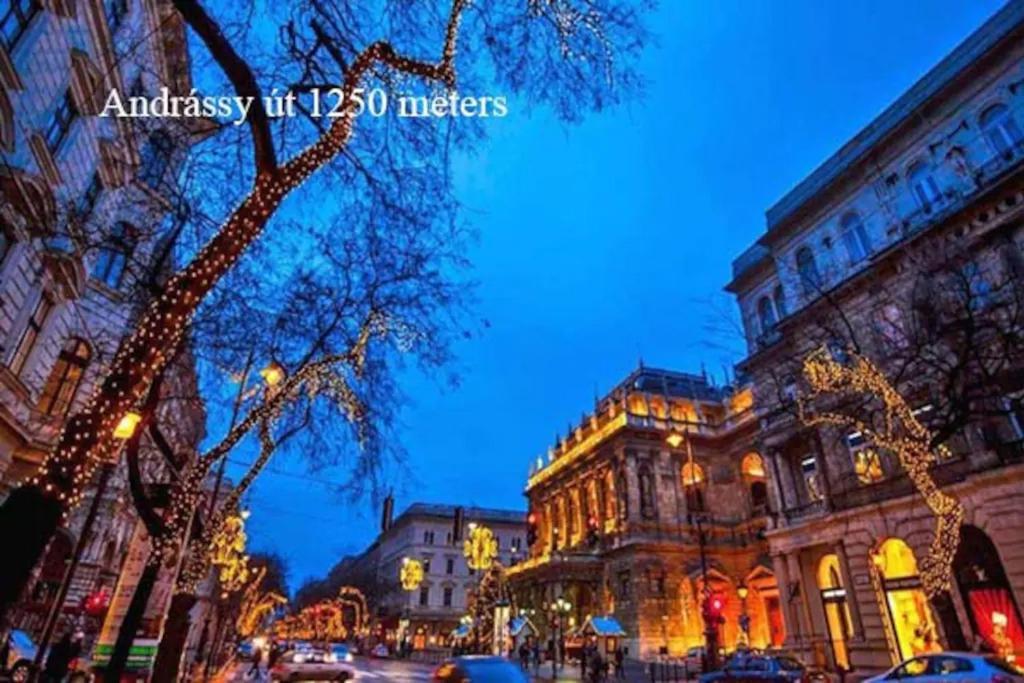 Keleti Apartment City Center Big Flat Bedroom Private Use Budapešť Exteriér fotografie